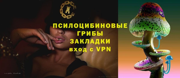 гашик Костерёво