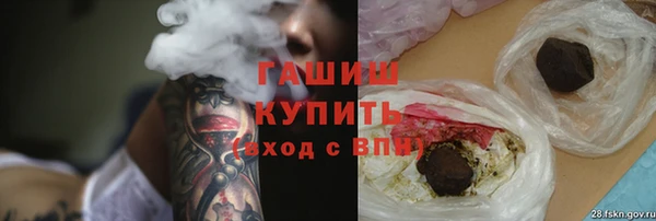 гашик Костерёво