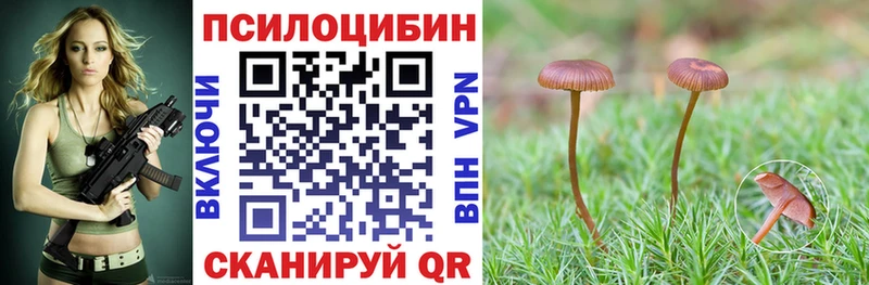 Галлюциногенные грибы прущие грибы  Купить закладки  Сокол 